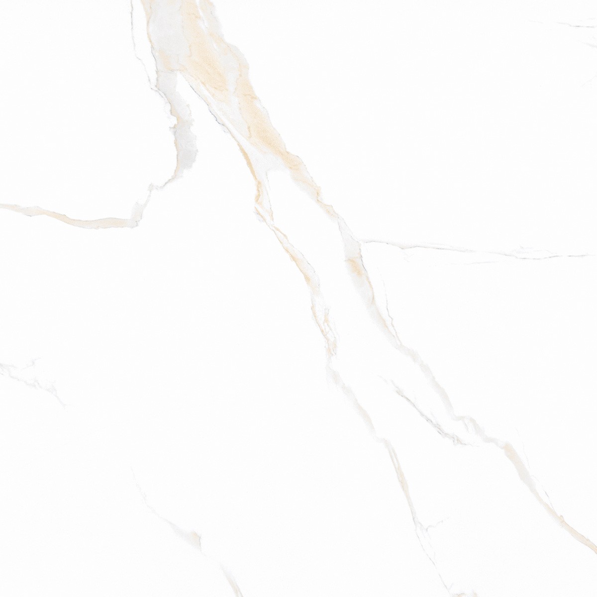 40x40 Classic Carrara Altın Taban